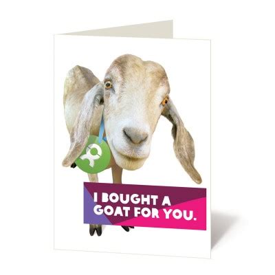 charity goat gift|Gift a goat .